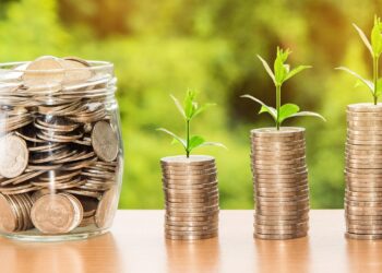 Top Investment Choices for Beginners:Stocks